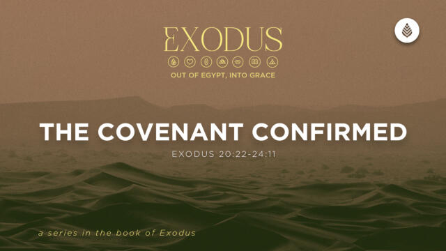 Bay Leaf Exodus 7 12 26