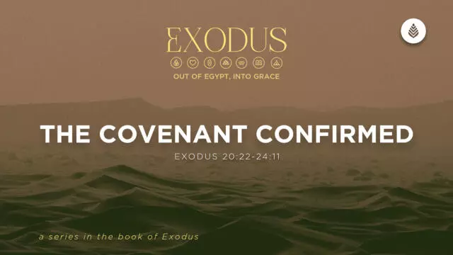 Bay Leaf Exodus 7 12 26