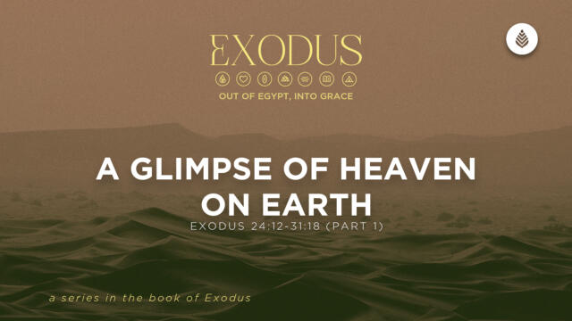Bay Leaf Exodus 7 19 26