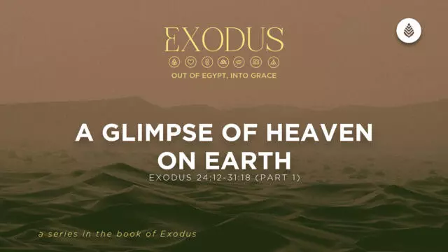 Bay Leaf Exodus 7 19 26
