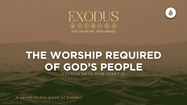 Bay Leaf Exodus 7 26 26
