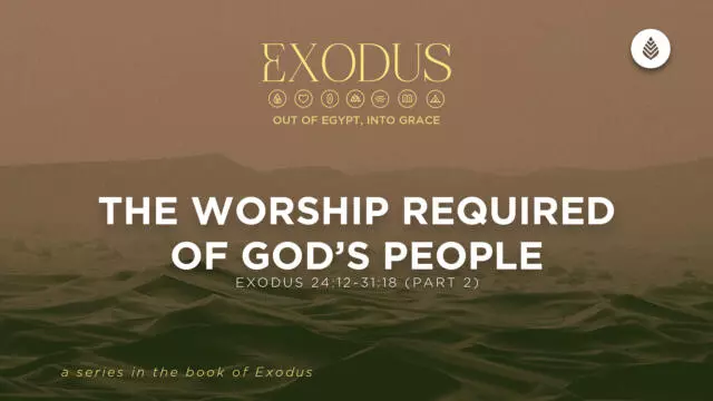 Bay Leaf Exodus 7 26 26