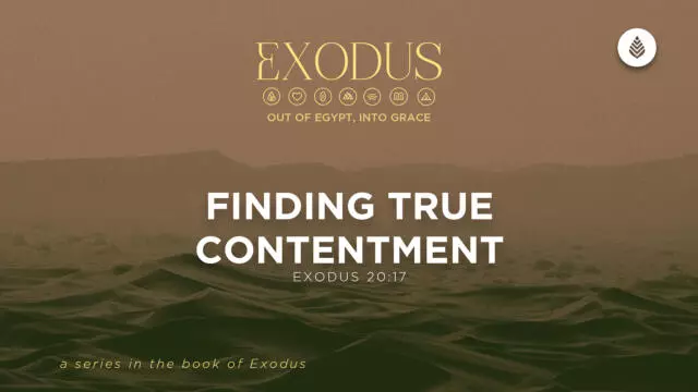 Bay Leaf Exodus 7 5 26
