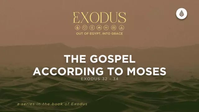 Bay Leaf Exodus 8 2 26
