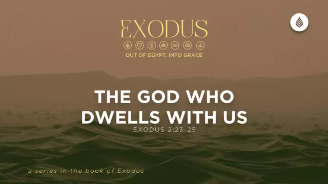 Bay Leaf Exodus 8 9 26