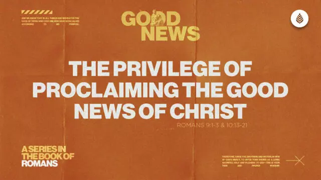 Bay Leaf Good News 2025 5 11 25