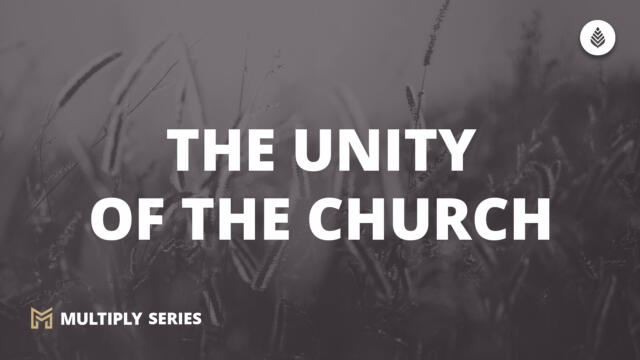 Bay Leaf Multiply 2023 10 15 23