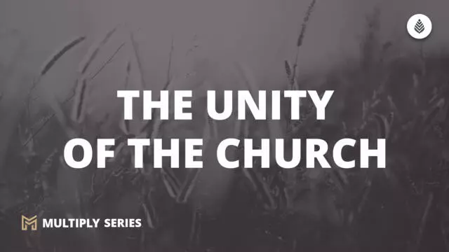 Bay Leaf Multiply 2023 10 15 23