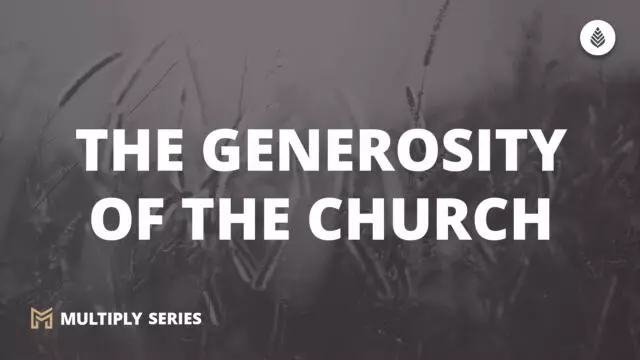 Bay Leaf Multiply 2023 10 22 23