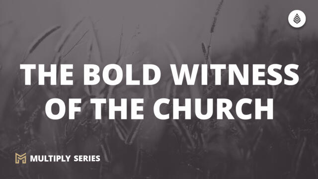 Bay Leaf Multiply 2023 10 8 23 B