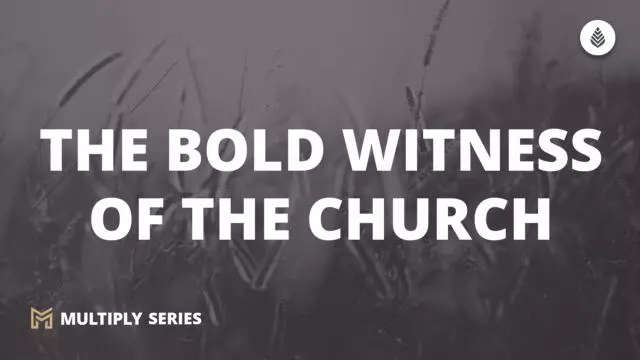 Bay Leaf Multiply 2023 10 8 23 B