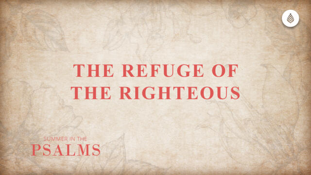 Bay Leaf Psalms Series 2023 Thumbnail 7 23 23