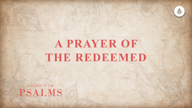 Bay Leaf Psalms Series 2023 Thumbnail 7 30 23