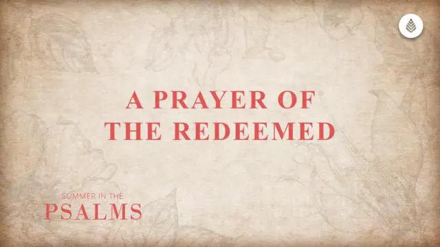 Bay Leaf Psalms Series 2023 Thumbnail 7 30 23