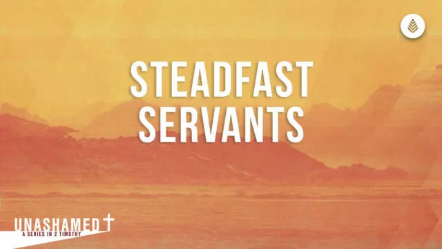 Bay Leaf Unashamed Series 2023 Thumbnail 8 13 23