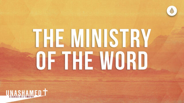 Bay Leaf Unashamed Series 2023 Thumbnail 9 10 23