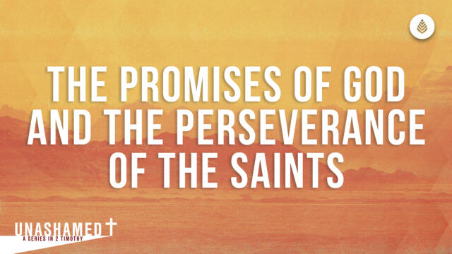 Bay Leaf Unashamed Series 2023 Thumbnail 9 17 23