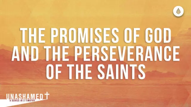 Bay Leaf Unashamed Series 2023 Thumbnail 9 17 23