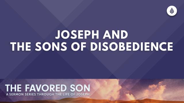 Bay Leaf The Favored Son Series Thumbnail E2