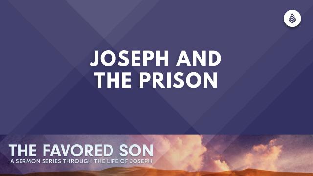 Bay Leaf The Favored Son Series Thumbnail 5 14 23