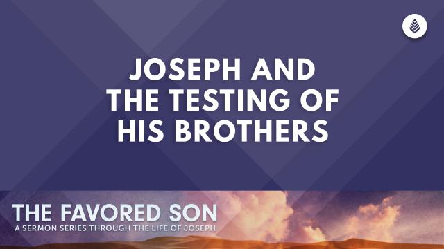 Bay Leaf The Favored Son Series Thumbnail 5 28 23