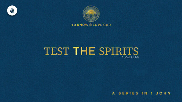 Bay Leaf 1 John 2024 10 13 24