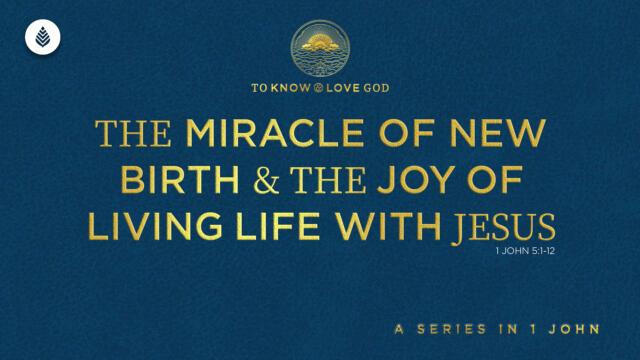 Bay Leaf 1 John 2024 10 27 24