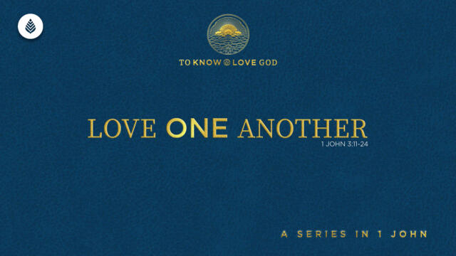 Bay Leaf 1 John 2024 10 6 24