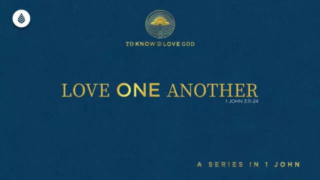 Bay Leaf 1 John 2024 10 6 24