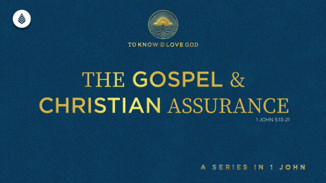 Bay Leaf 1 John 2024 11 03 24