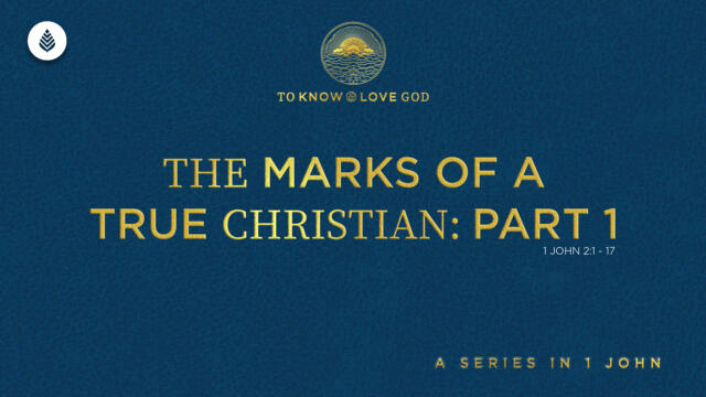 Bay Leaf 1 John 2024 9 15 24