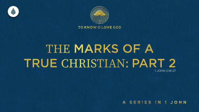 Bay Leaf 1 John 2024 9 22 24