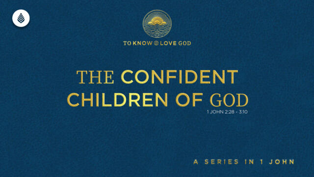 Bay Leaf 1 John 2024 9 29 24