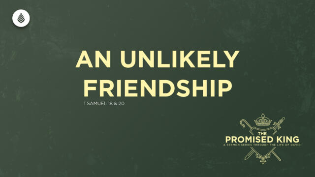 Bay Leaf 1 Samuel 2024 11 24 24