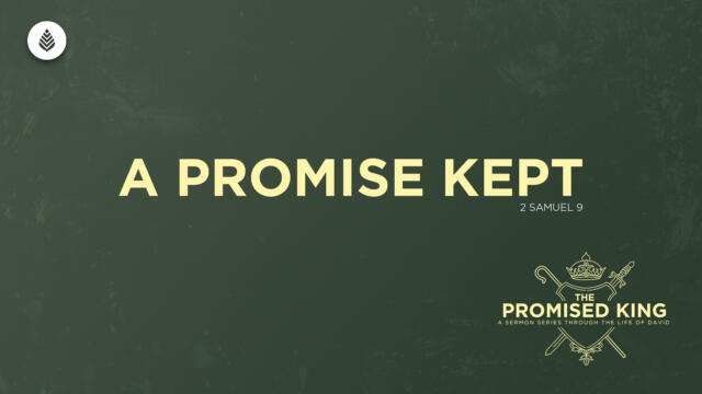 Bay Leaf 1 Samuel 2024 12 01 24