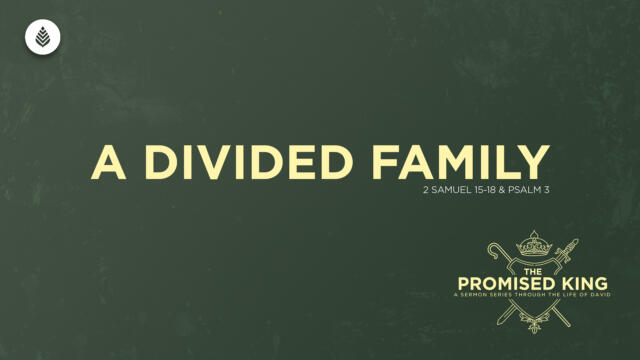 Bay Leaf 1 Samuel 2024 12 15 24