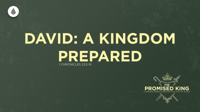 Bay Leaf 1 Samuel 2024 12 29 24