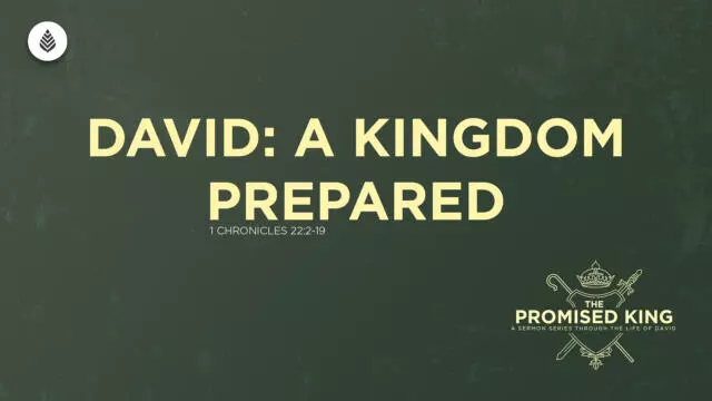 Bay Leaf 1 Samuel 2024 12 29 24