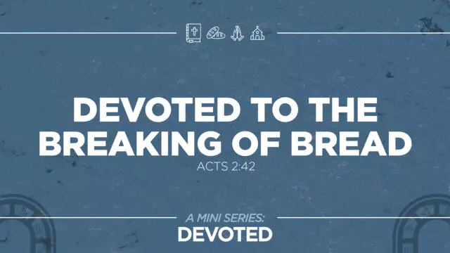 Bay Leaf Devoted 8 24 25