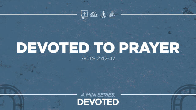 Bay Leaf Devoted 8 31 25