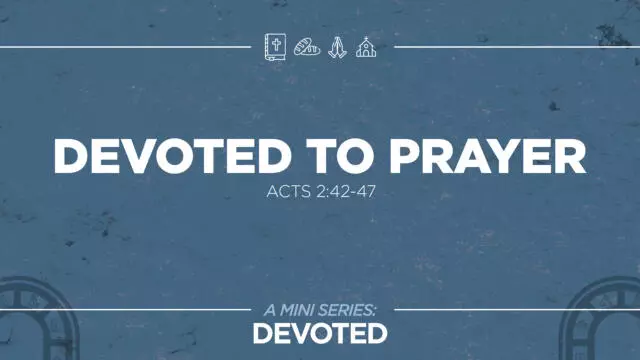 Bay Leaf Devoted 8 31 25