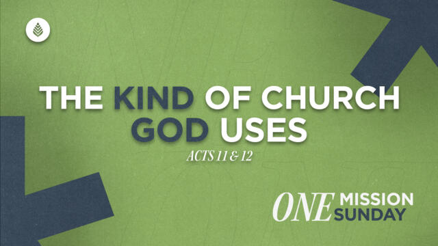 Bay Leaf Devoted 9 7 25