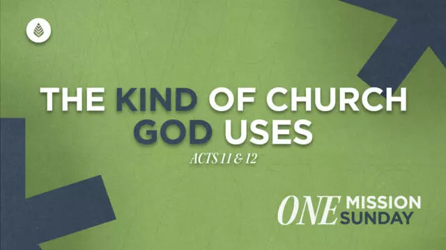 Bay Leaf Devoted 9 7 25