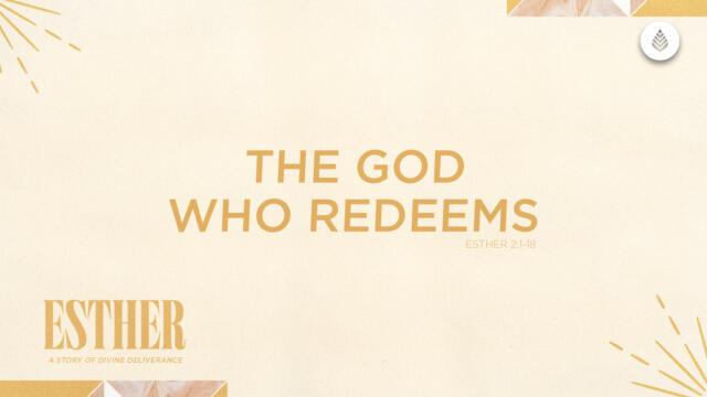 Bay Leaf Esther 2024 7 21 24