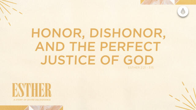 Bay Leaf Esther 2024 7 28 24