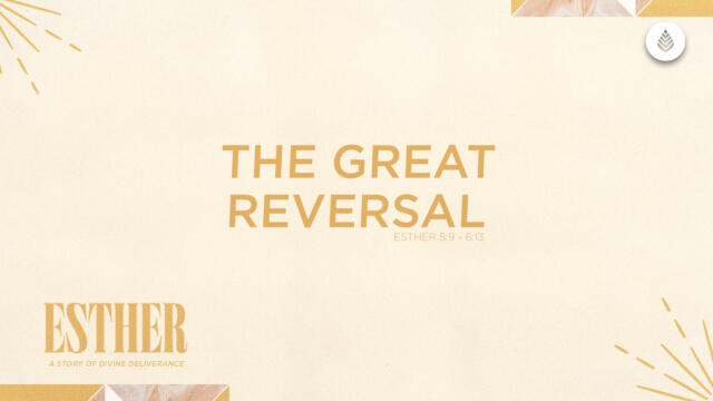 Bay Leaf Esther 2024 8 11 24