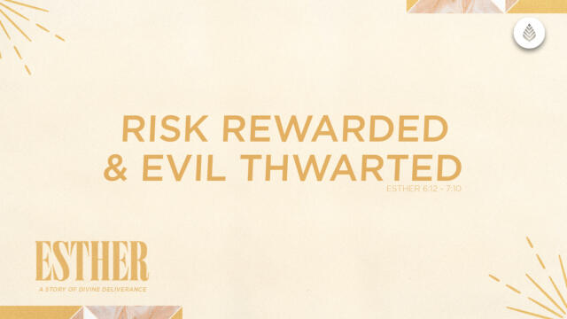 Bay Leaf Esther 2024 8 18 24