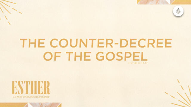 Bay Leaf Esther 2024 8 25 24