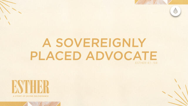 Bay Leaf Esther 2024 8 4 24