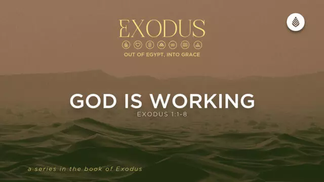 Bay Leaf Exodus 3 1 26